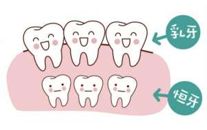 儿童换牙期需要注意什么对牙齿好？